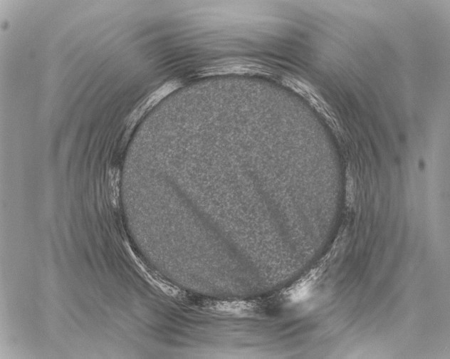 X0000058761233200510211649