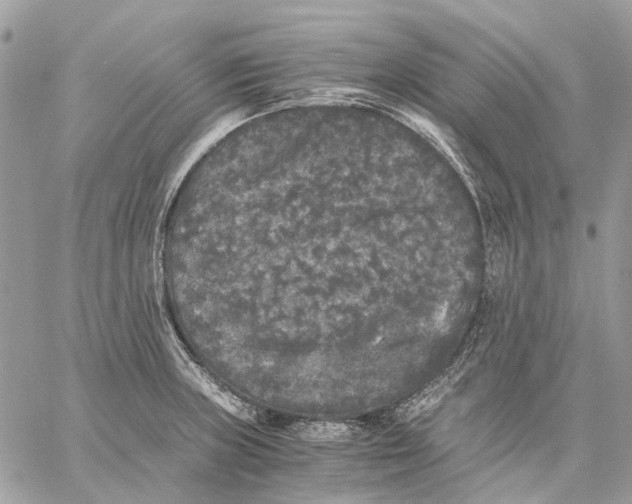 X0000058761235200510211649