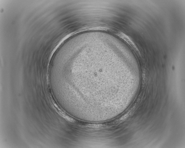 X0000058761236200510211649