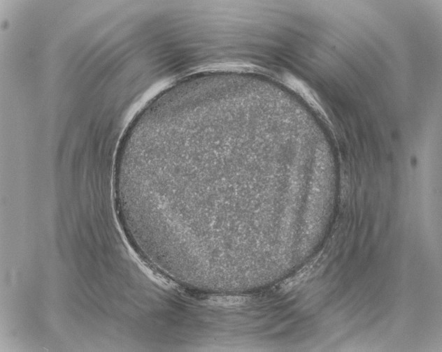 X0000058761237200510211649