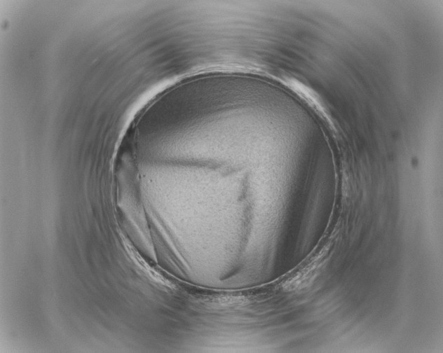 X0000058761238200510211649