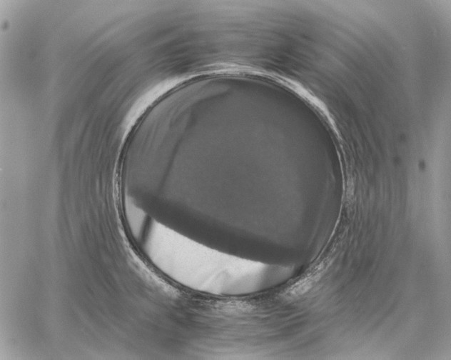 X0000058761239200510211649