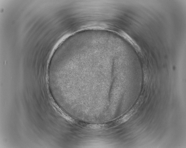 X0000058761240200510211649