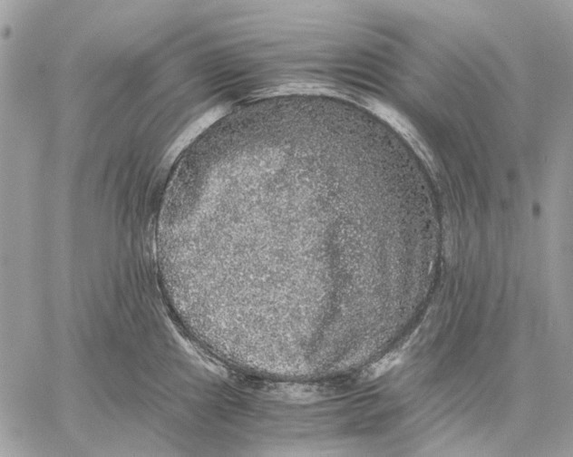 X0000058761241200510211649