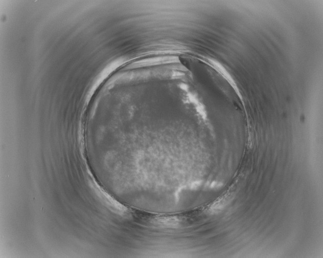 X0000058761243200510211649