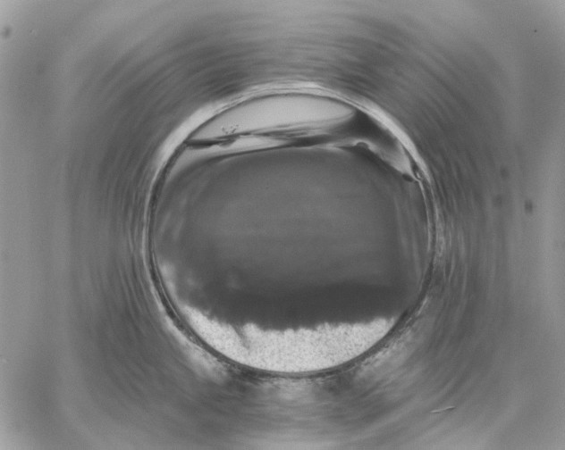 X0000058761245200510211650