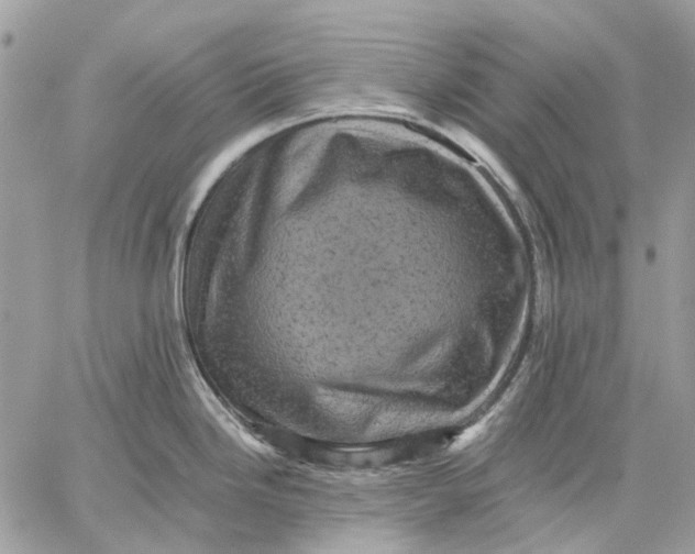 X0000058761246200510211650