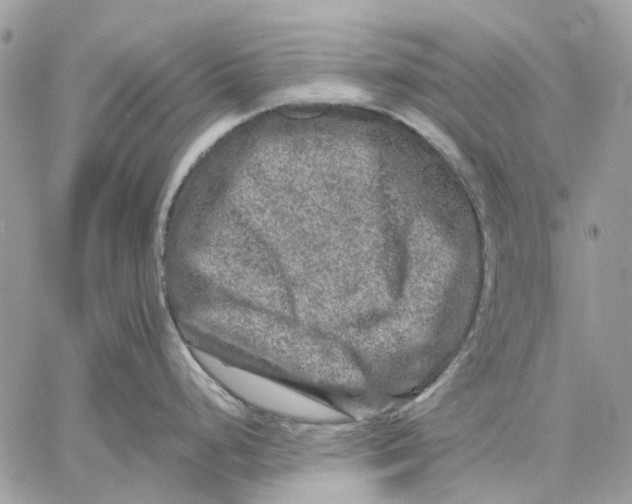 X0000058761248200510211650