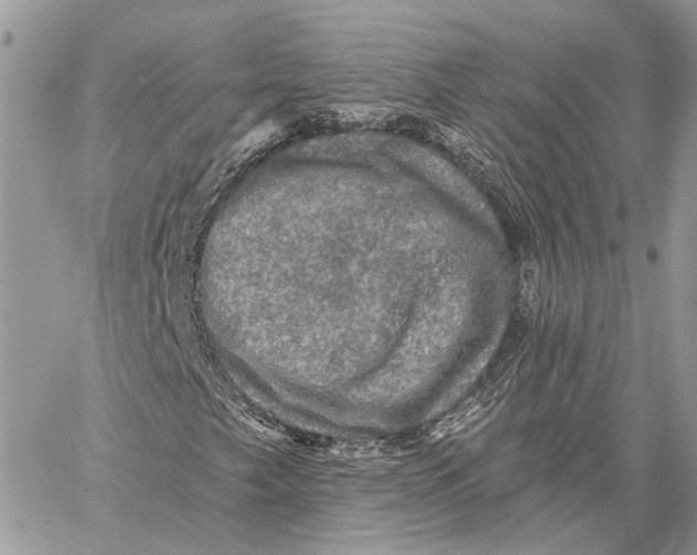 X0000058761249200510211649