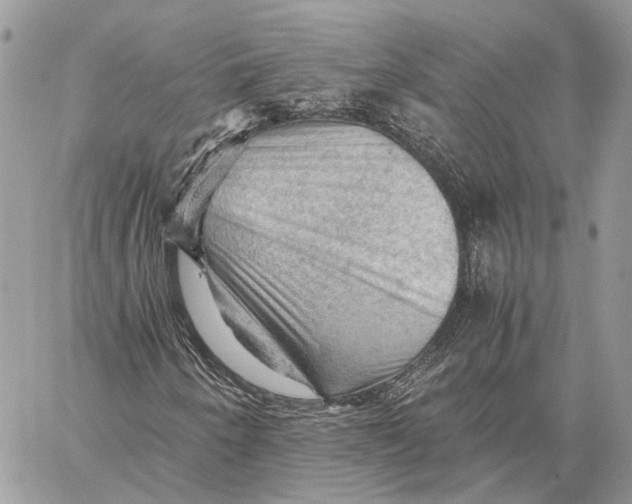 X0000058761250200510211649