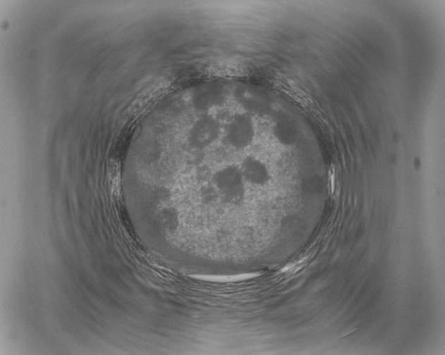 X0000058761251200510211649