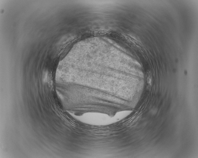 X0000058761252200510211649