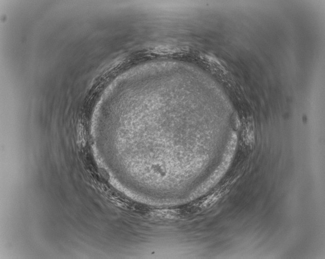 X0000058761253200510211649