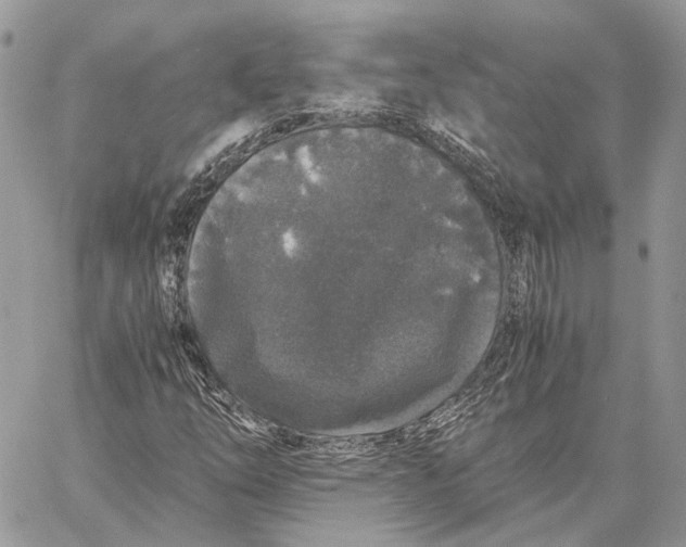 X0000058761254200510211649