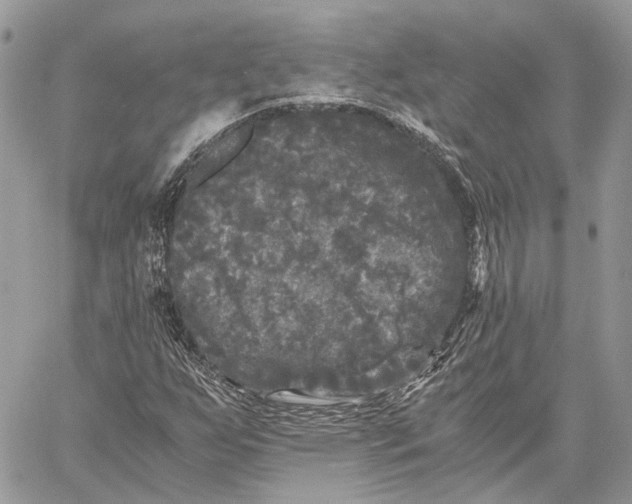 X0000058761255200510211649