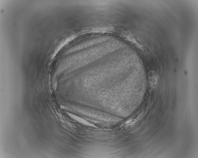 X0000058761256200510211649