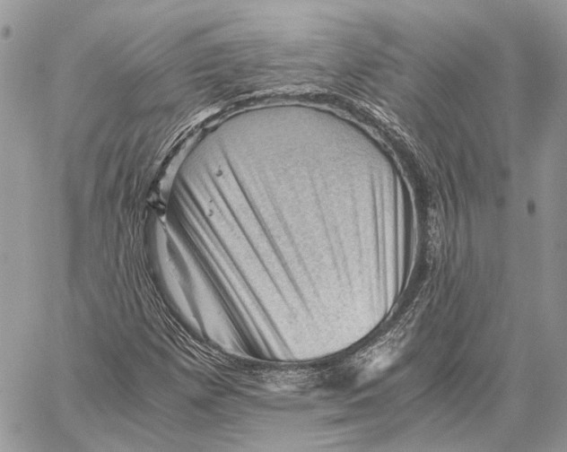 X0000058761257200510211649