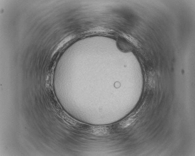 X0000058761258200510211649