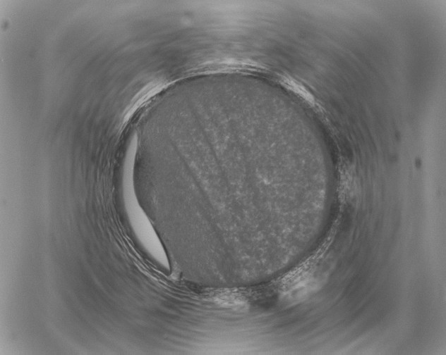 X0000058761259200510211649