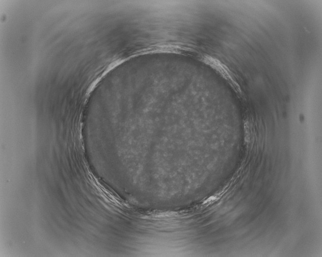 X0000058761260200510211649