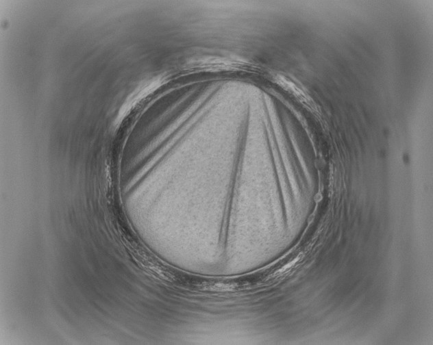 X0000058761261200510211649