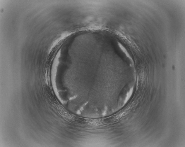 X0000058761262200510211649