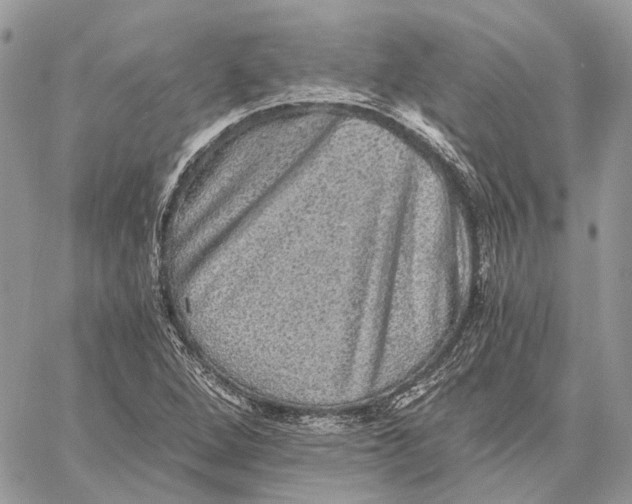 X0000058761264200510211649