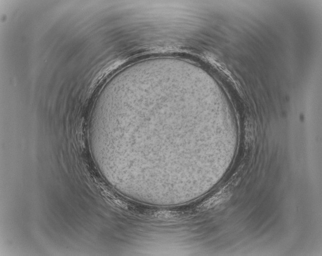 X0000058761265200510211649