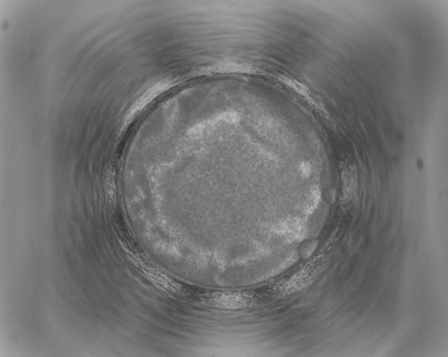 X0000058761266200510211648