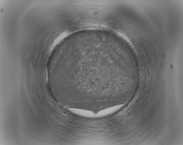 X0000058761267200510211648