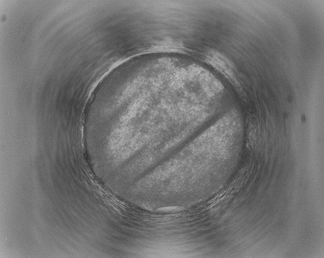 X0000058761268200510211648