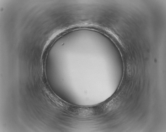 X0000058761270200510211648