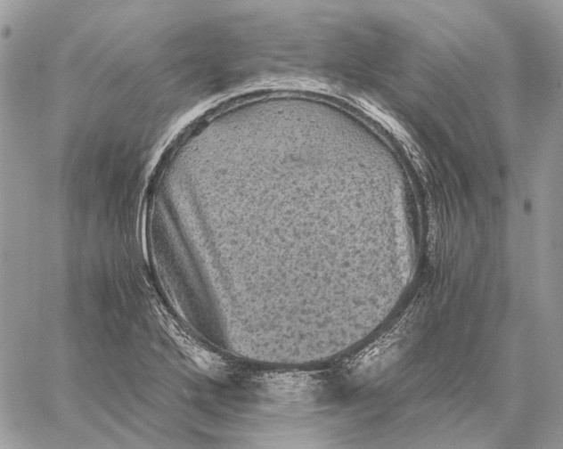 X0000058761272200510211648