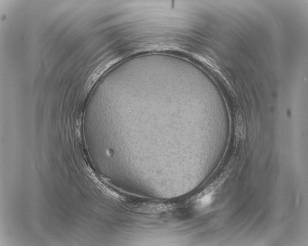 X0000058761273200510211648