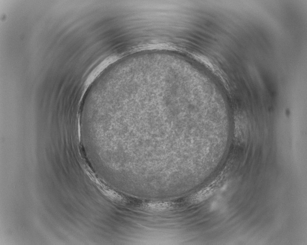 X0000058761274200510211648