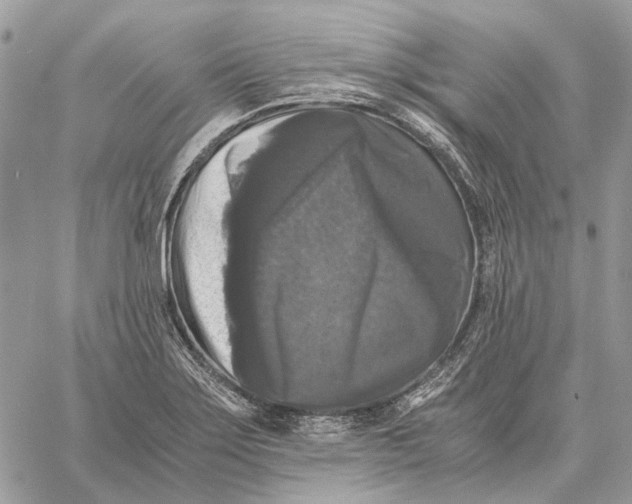 X0000058761275200510211648