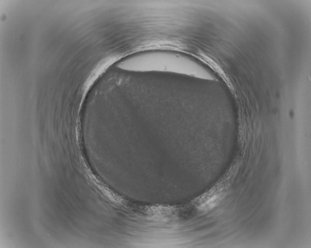 X0000058761277200510211648