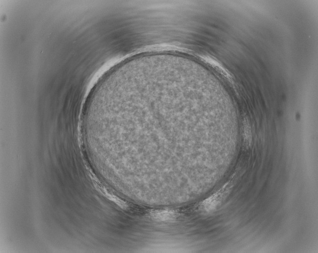 X0000058761278200510211648