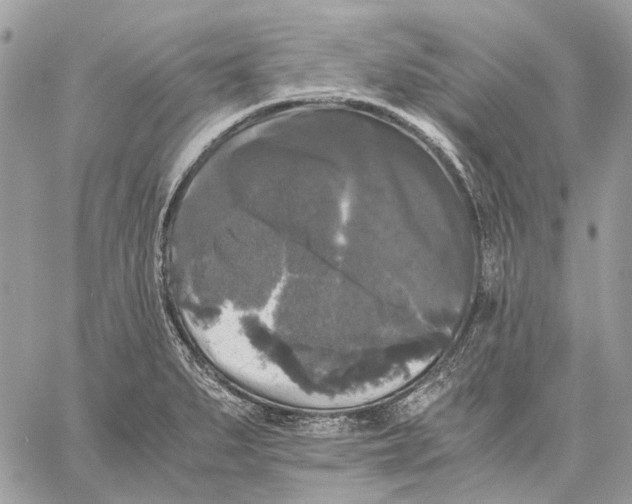 X0000058761279200510211648