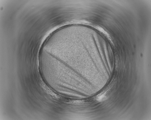 X0000058761280200510211648