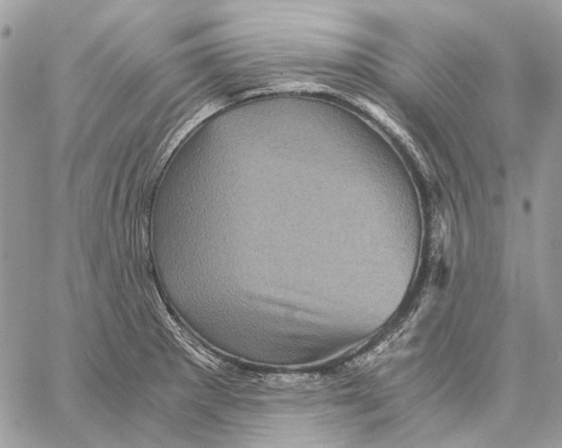 X0000058761281200510211648