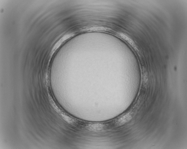 X0000058761282200510211648