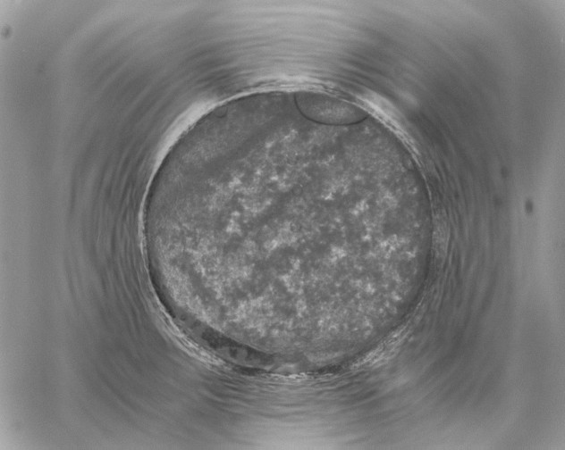 X0000058761283200510211648