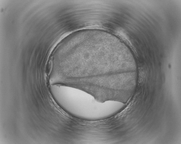 X0000058761284200510211648