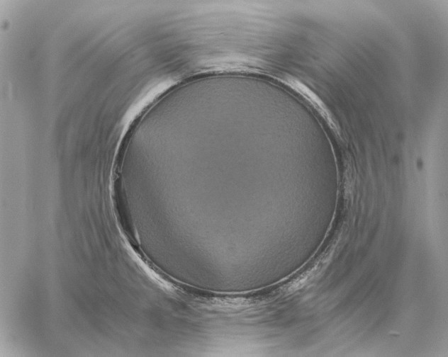 X0000058761285200510211648