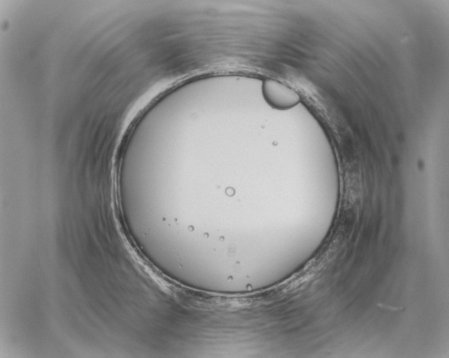 X0000058761286200510211648