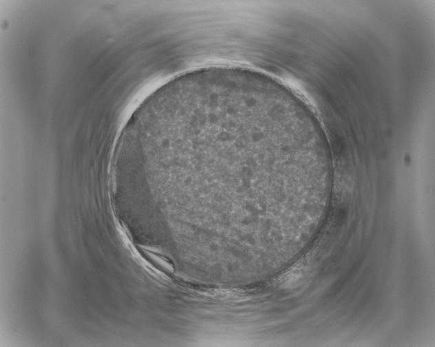 X0000058761287200510211648