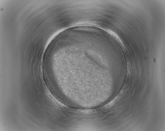 X0000058761288200510211648