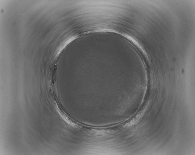 X0000058761289200510211648