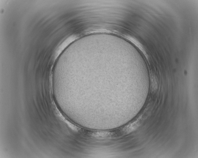 X0000058761290200510211648